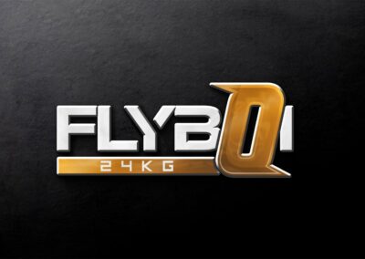 FlyBoi Logo Mock