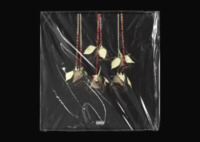 Hanged Roses: Deluxe Drop