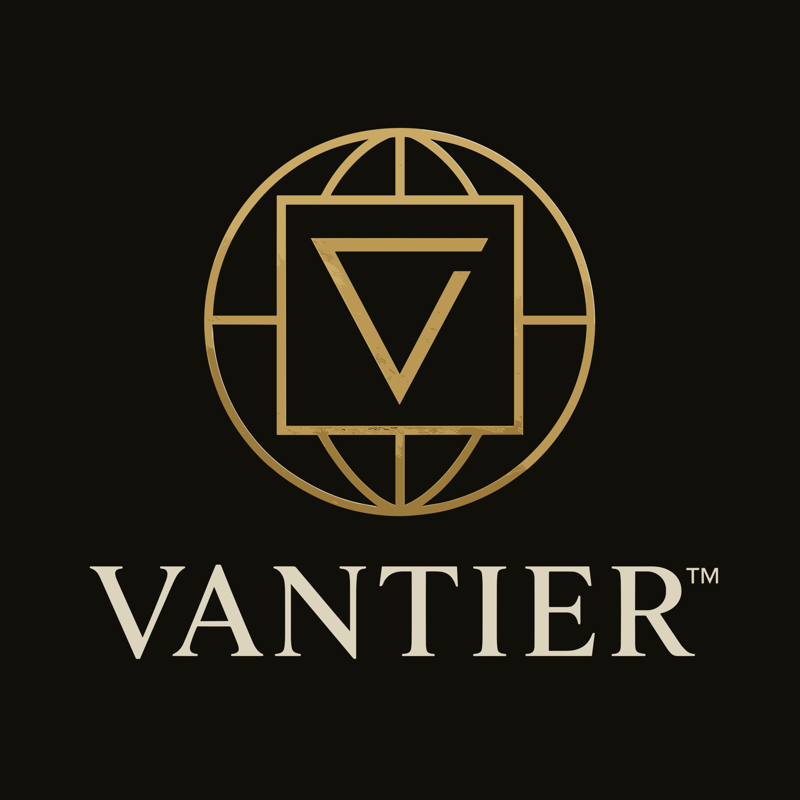 Services & Pricing Vantier Logo Design